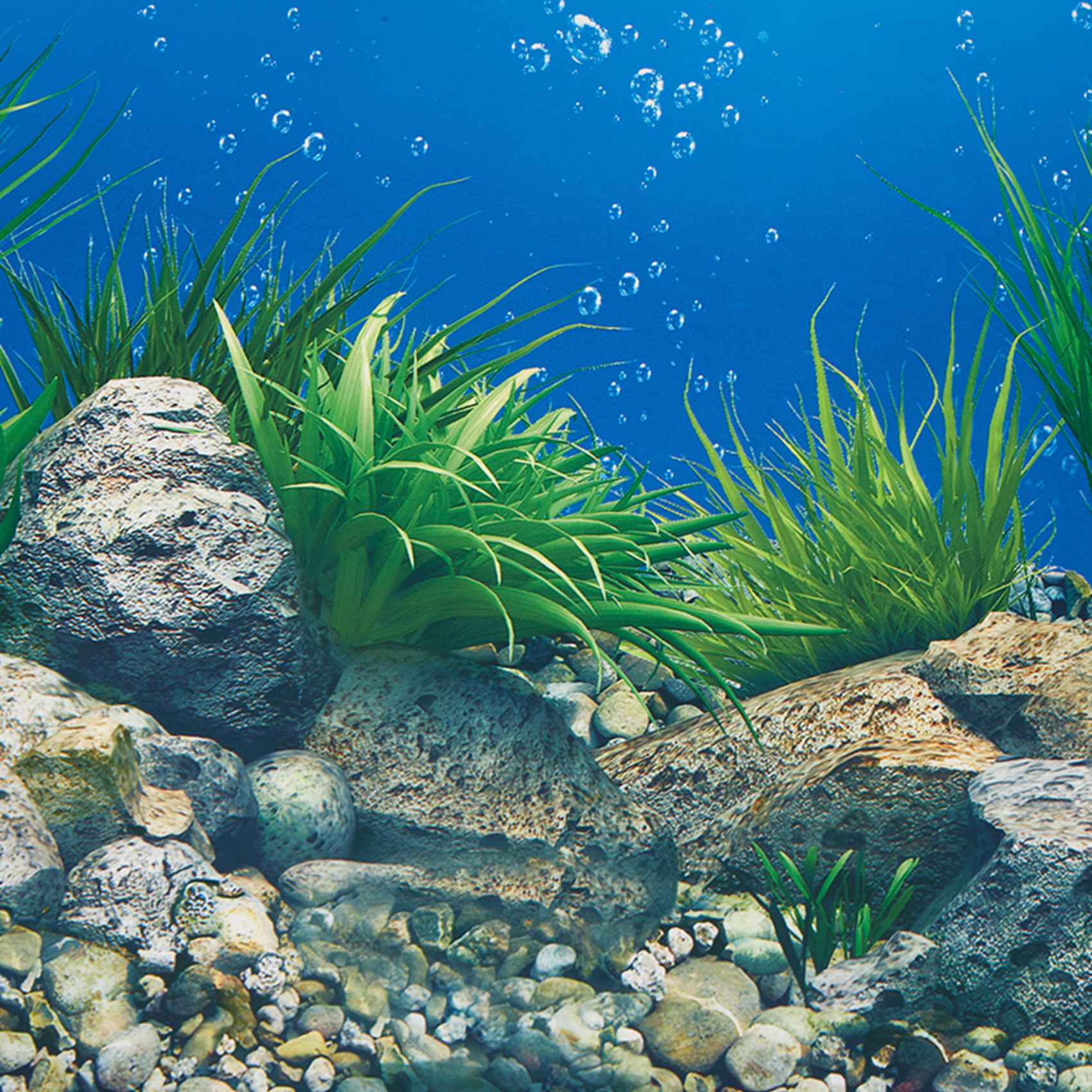 Aquarium Fish Wallpaper Hd - AB33-Aquarium Hintergrund Papier HD Bild 7D