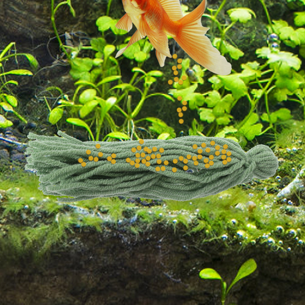 Aquarium Fish Reproduction - 12 Stück Aquarium-Lebensmittelablage für Fischzucht, schwimmend,