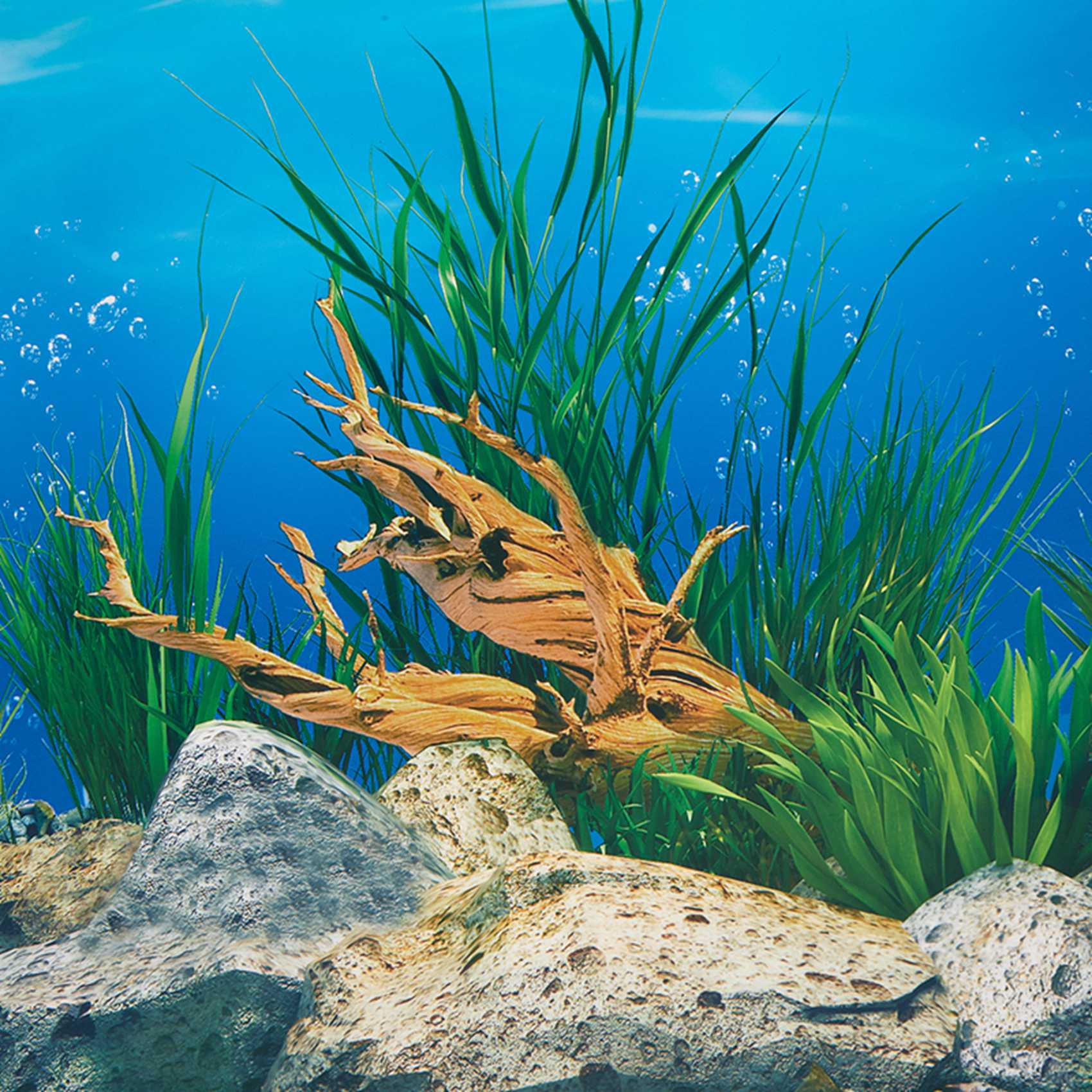 ABWR-Aquarium Hintergrundpapie – Aquarium Fish Wallpaper Hd Bewertung und Preis