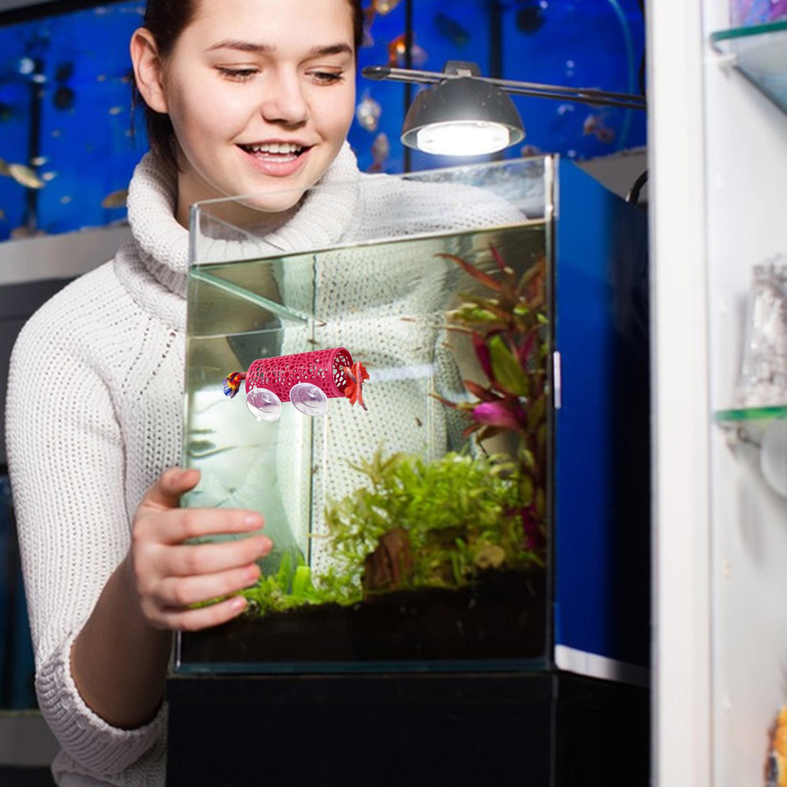 Betta-Habitat, Ruheplatz, Orna – Aquarium Mini Fish Bewertung und Preis