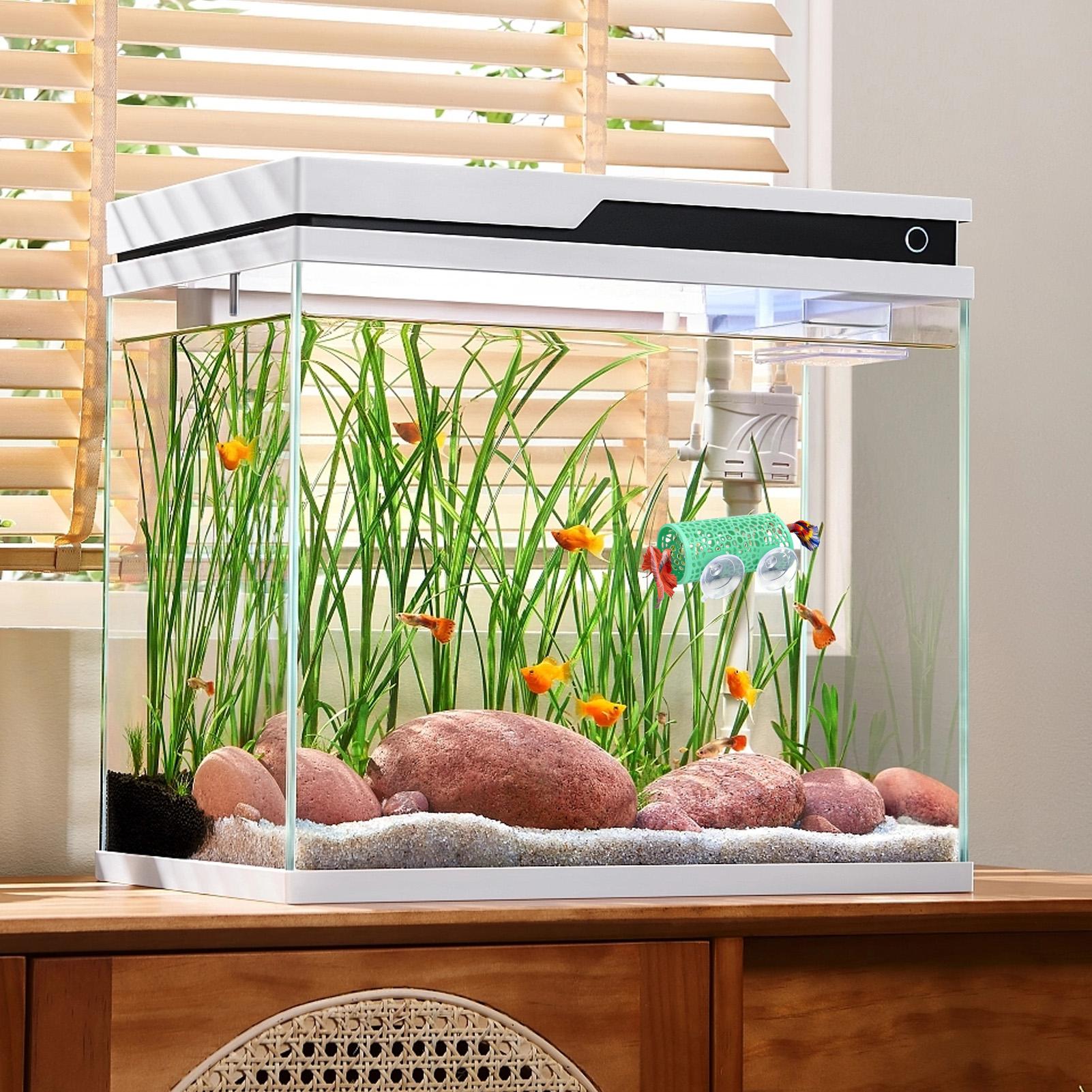 Betta-Habitat, Ruheplatz, Orna – Aquarium Mini Fish Bewertung und Preis