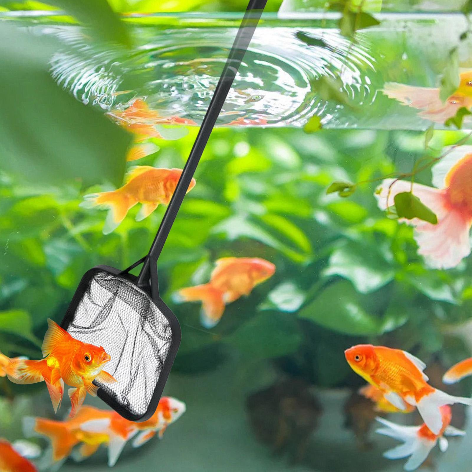 Poolnetze zur Reinigung, tragb – Aquarium Fish Tank Cleaner Bewertung und Preis