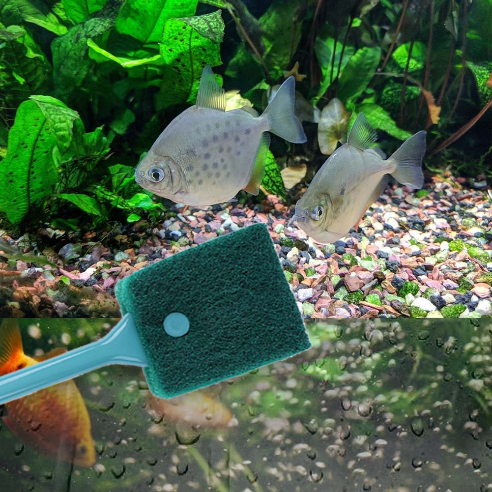 Doppelseitiger Aquarium-Schwam – Aquarium Fish Tank Cleaner Bewertung und Preis
