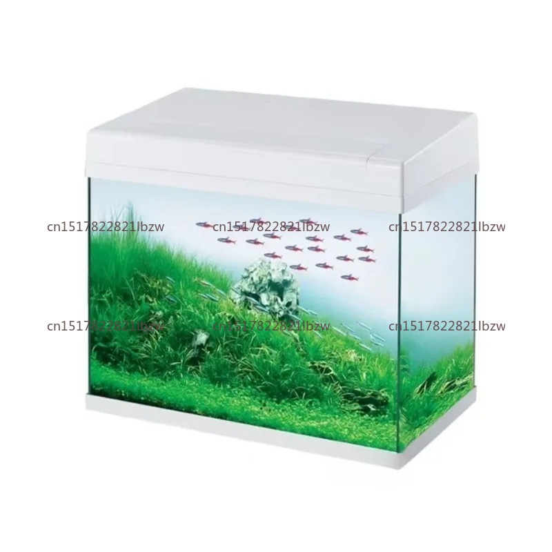 Glas-Aquarium Mini-Tisch-Aquar – Aquarium Mini Fish Bewertung und Preis