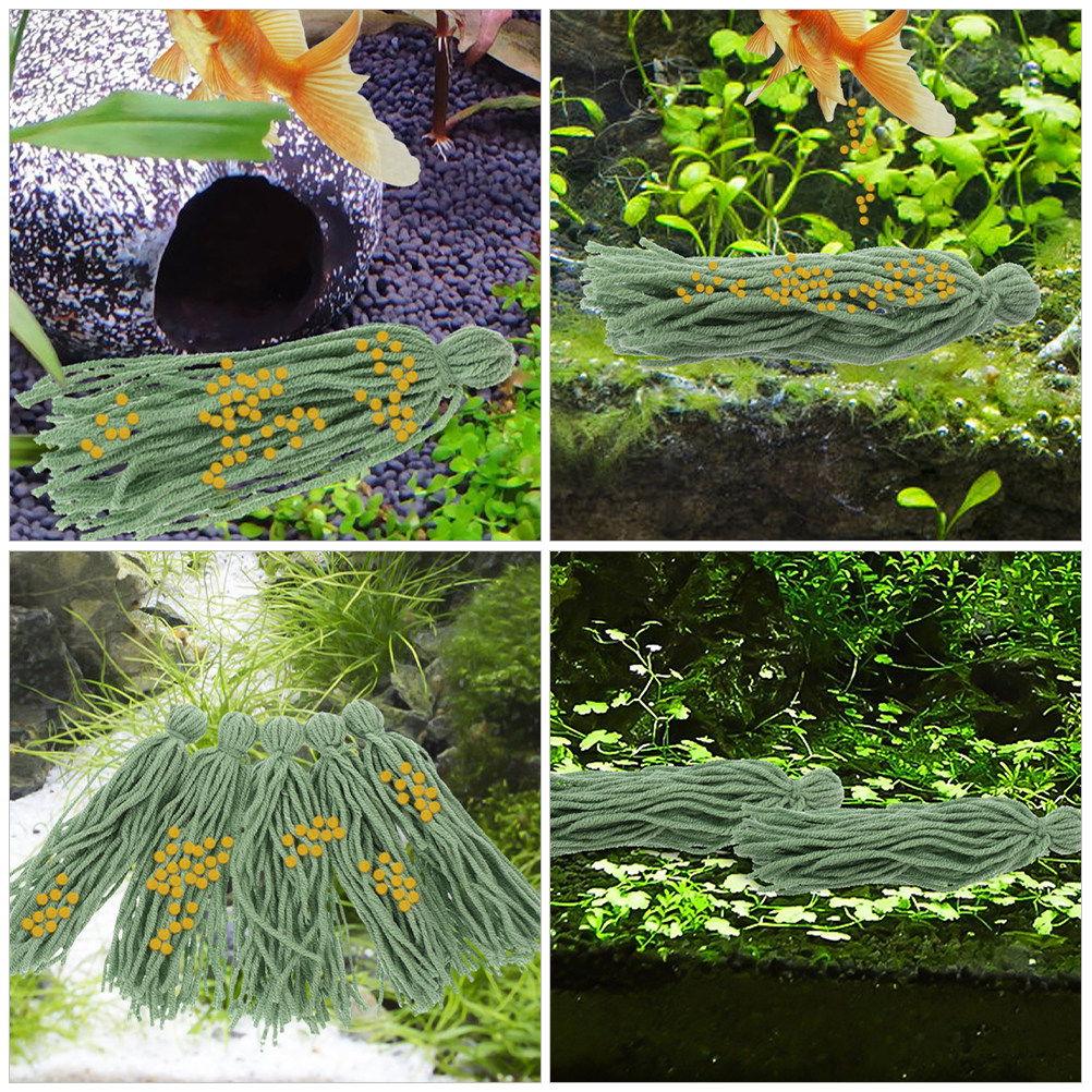 12 Stück Aquarium-Lebensmittel – Aquarium Fish Reproduction Bewertung und Preis