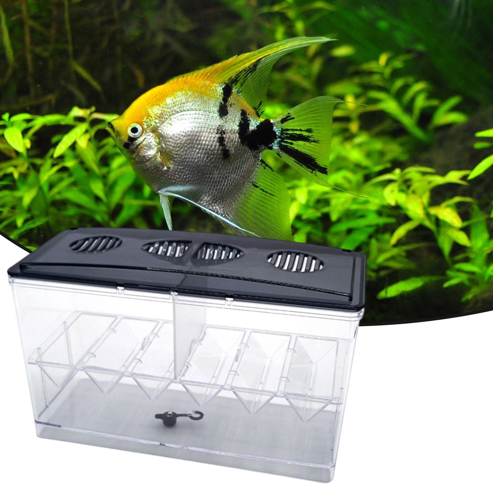 Schwimmende Fischzucht-Isolati – Aquarium Fish Tank Cleaner Bewertung und Preis