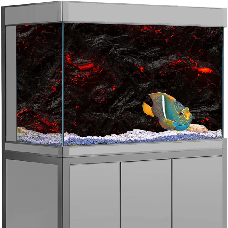 Lavastein Aquarium Hintergrund – Aquarium Fish Wallpaper Hd Bewertung und Preis