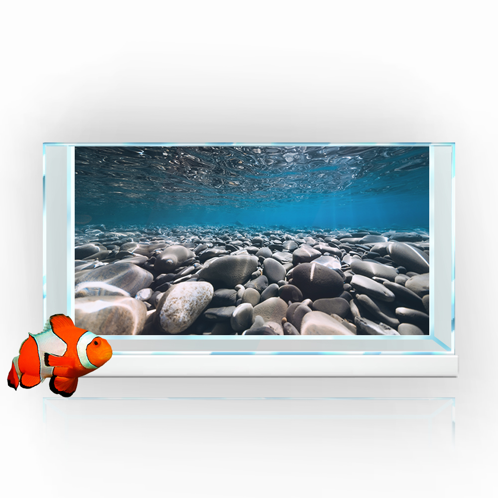 Aquarium Hintergrund Aufkleber – Aquarium Fish Wallpaper Hd Bewertung und Preis