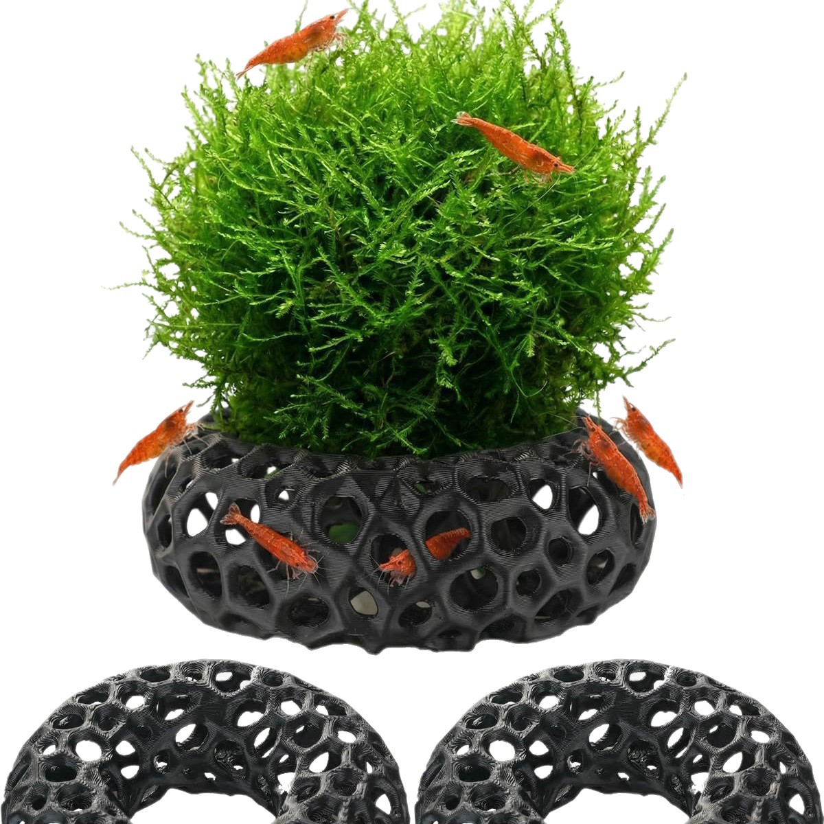 Heiß begehrtes 3D-gedrucktes F – Aquarium Fish Reproduction Bewertung und Preis