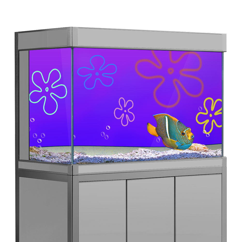 Cartoon Bob Unterwasser Aquari – Aquarium Fish Wallpaper Hd Bewertung und Preis