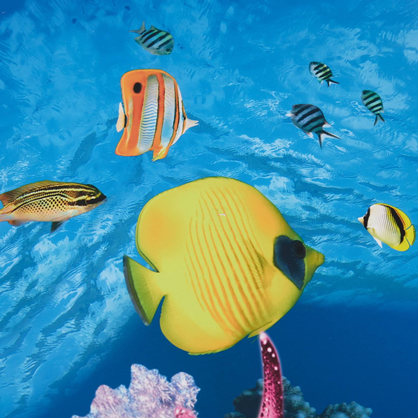 BAAU Aquarium Hintergrund Papi – Aquarium Fish Wallpaper Hd Bewertung und Preis