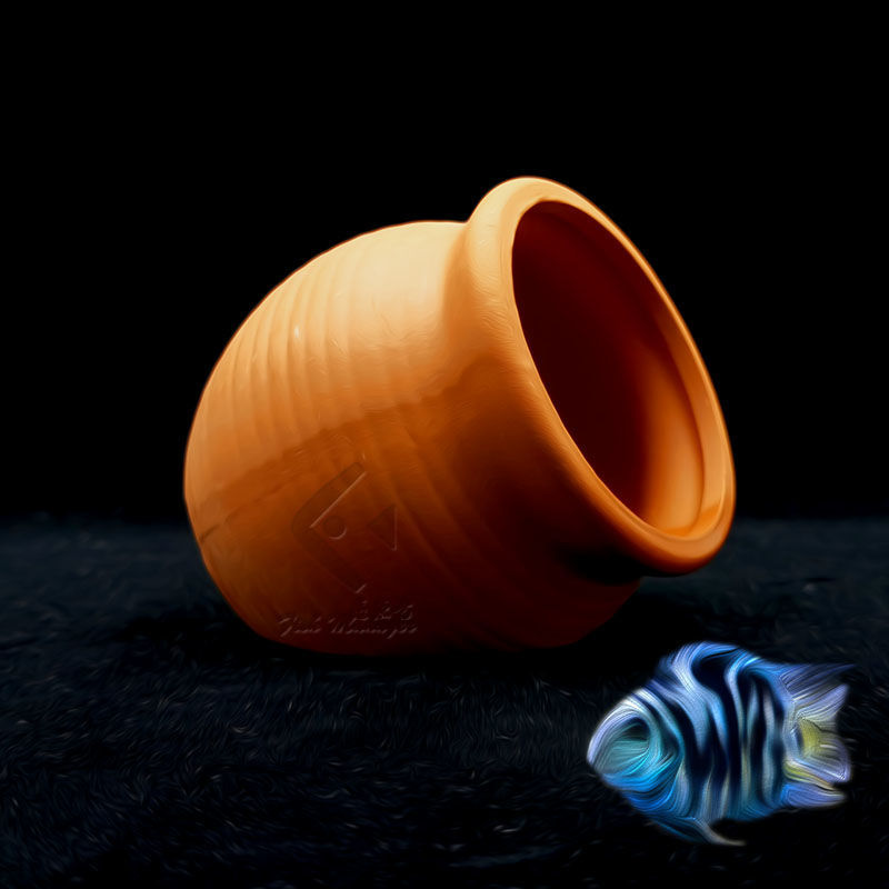 Aquarium Mini Keramik Tank Fis – Aquarium Fish Hiding Places Bewertung und Preis