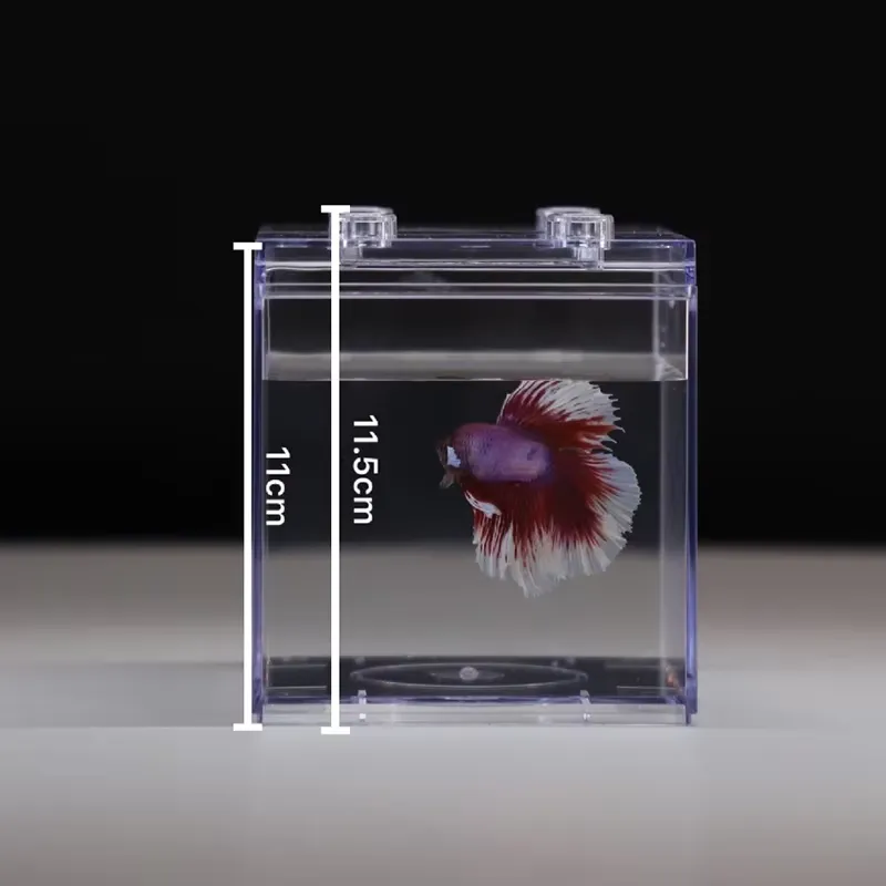 Relaxlines Mini-Aquarium-Box T – Aquarium Mini Fish Bewertung und Preis