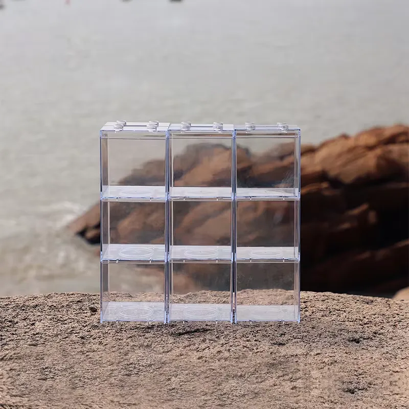 Relaxlines Mini-Aquarium-Box T – Aquarium Mini Fish Bewertung und Preis