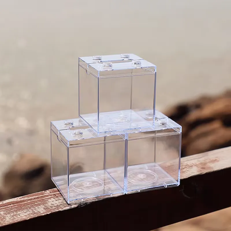 Relaxlines Mini-Aquarium-Box T – Aquarium Mini Fish Bewertung und Preis