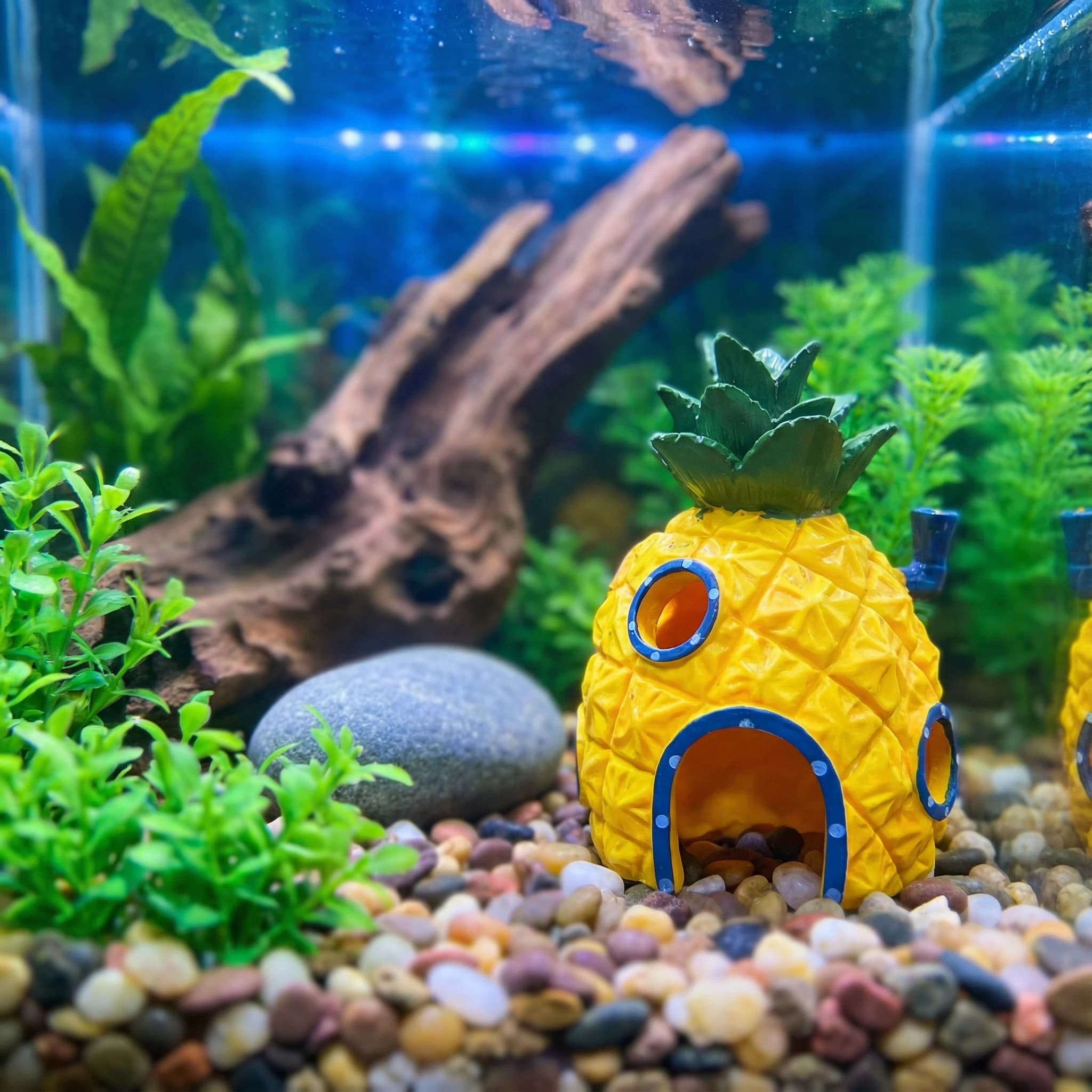 Ananas-Haus-Aquarium-Dekoratio – Aquarium Fish Hiding Places Bewertung und Preis