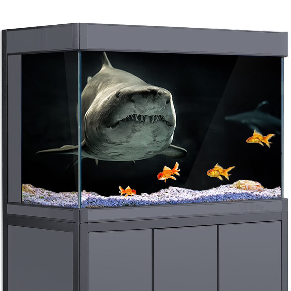 Aquarium Hintergrund 3D Shark  – Aquarium Fish Wallpaper Hd Bewertung und Preis